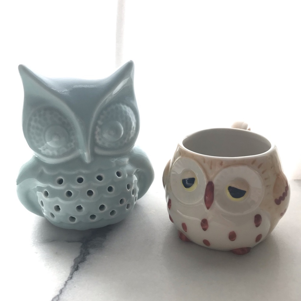 ⋒ Urban Outfitters Ceramic Owl Decor & Mug Set